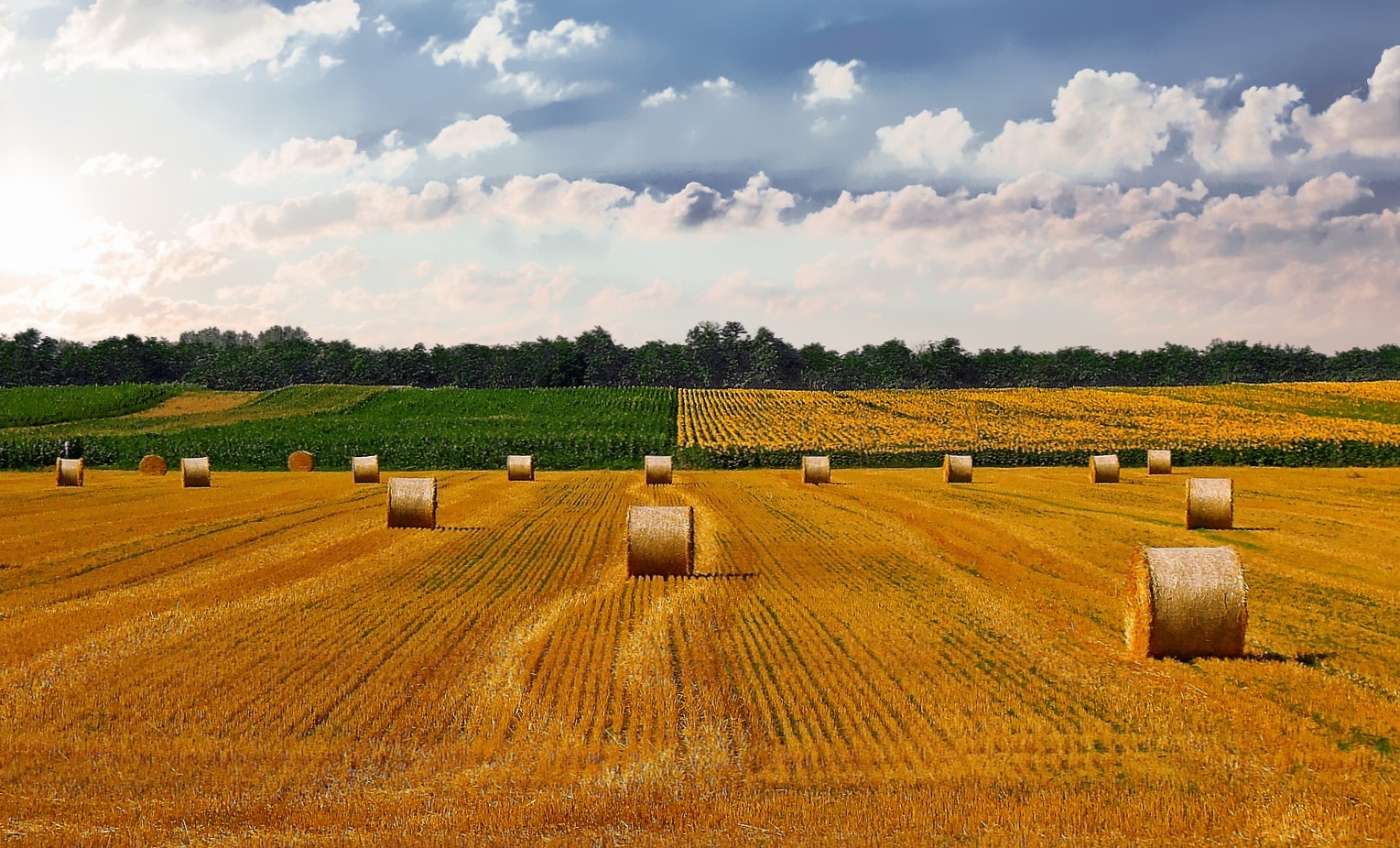 Landwirtschaft-4674764_1920_pixabay-Pete-Linforth
